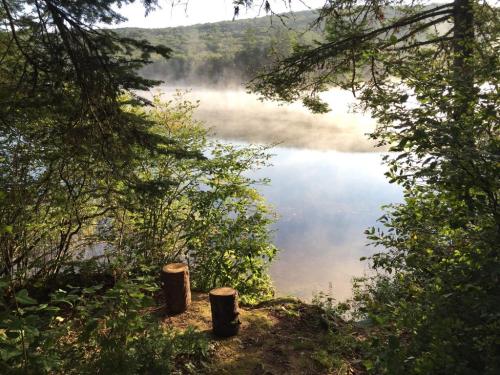 A serene lakeside view with mist rising over the water, framed by lush greenery and two wooden stumps.