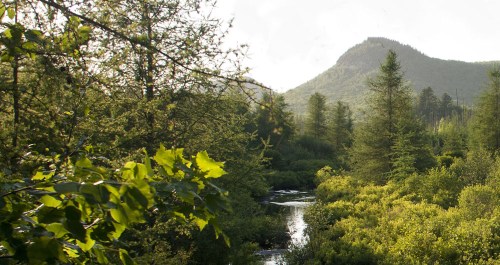 A serene landscape featuring a flowing river, lush greenery, and a distant mountain under a bright sky.