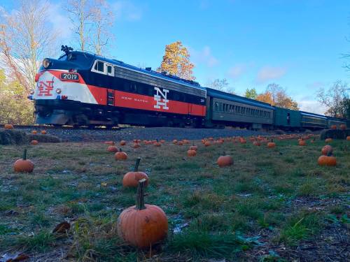 A vintage train with a red and black design passes through a pumpkin patch on a sunny autumn day.