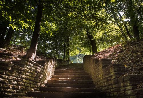 Stone steps lead upward through a lush, green forest, dappled sunlight filtering through the trees.