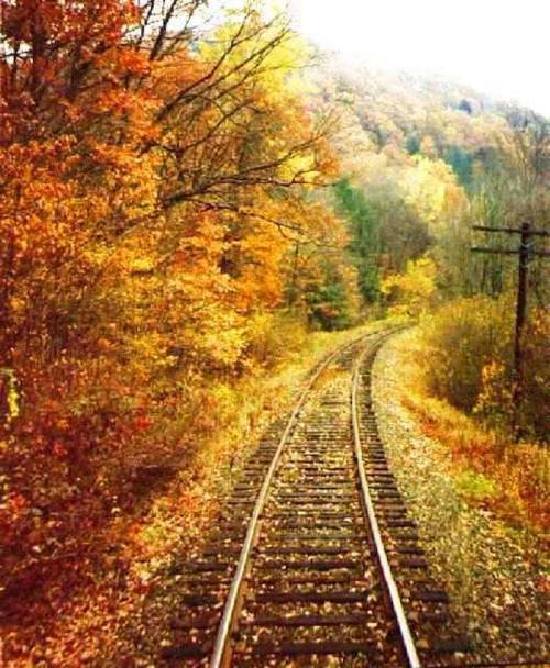 A winding railway track surrounded by vibrant autumn foliage in a serene landscape.