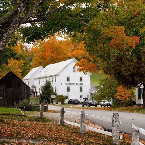 A scenic view of Plymouth Cheese with vibrant autumn foliage and a winding road lined with wooden posts.