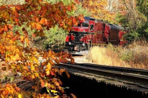 A red train passes through a colorful autumn landscape with vibrant orange and yellow leaves.