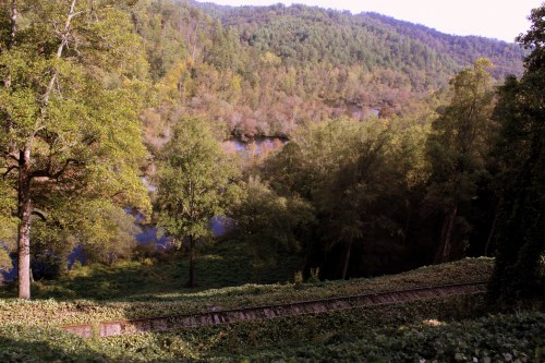 A serene landscape featuring a river, lush trees, and an old railway track surrounded by greenery.
