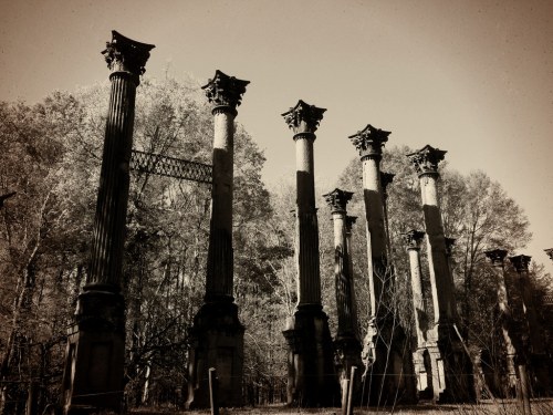 Black and white image of ancient stone columns surrounded by trees, evoking a sense of history and decay.