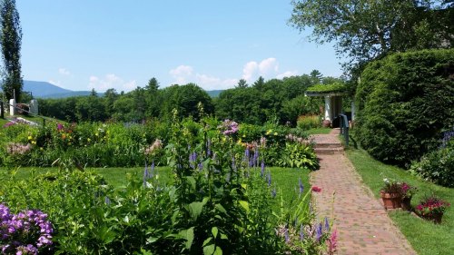 A vibrant garden path lined with colorful flowers, leading to a sunny area with trees and mountains in the background.