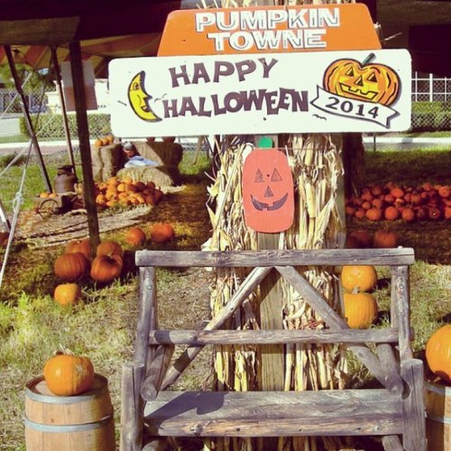 A festive display at a pumpkin patch with pumpkins, a wooden sign saying "Happy Halloween 2014," and hay decorations.