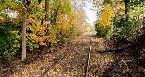 A serene view of a railway track surrounded by vibrant autumn foliage and fallen leaves.