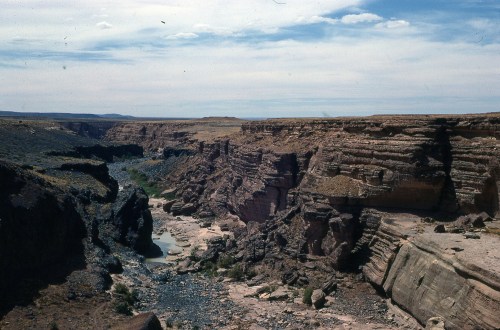 A vast canyon landscape with rocky cliffs and a winding river below, under a clear blue sky.