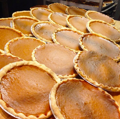 A large batch of freshly baked pumpkin pies arranged on a wooden surface.