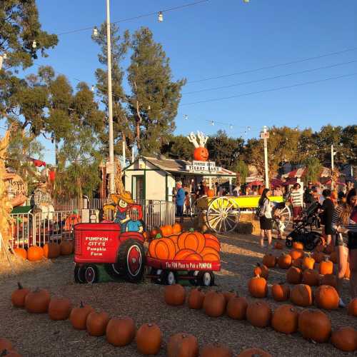 A festive pumpkin patch with a tractor, pumpkins, and visitors enjoying a fall fair atmosphere.