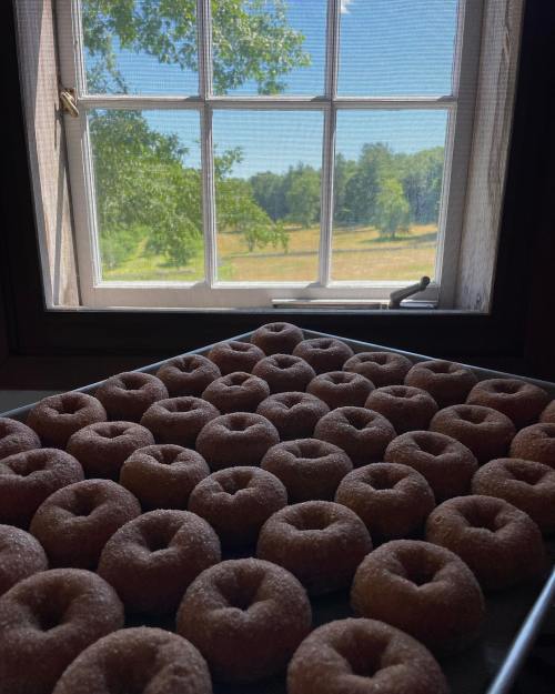 A tray of freshly made donuts sits in front of a sunny window, with a scenic view of greenery outside.