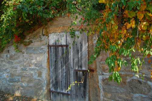 A weathered wooden door set in a stone wall, surrounded by vibrant green and orange foliage.