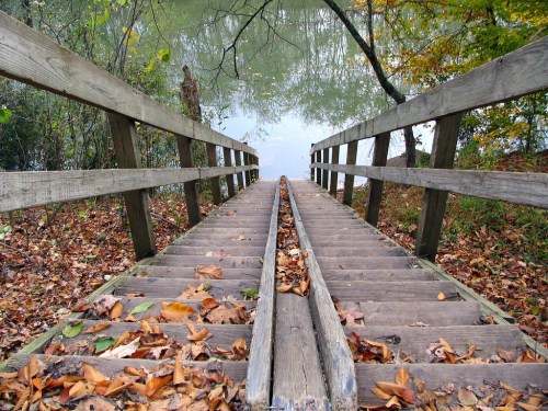 A wooden dock leads to a calm waterway, surrounded by autumn leaves and trees.