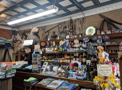 A cluttered store interior filled with souvenirs, taxidermy, and various memorabilia on shelves and walls.