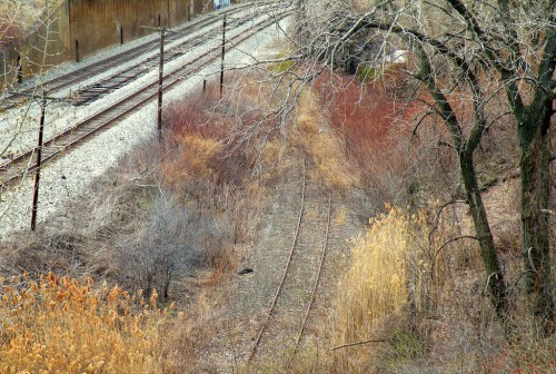 Overgrown railway tracks bordered by colorful autumn foliage and bare trees, set against a tranquil landscape.