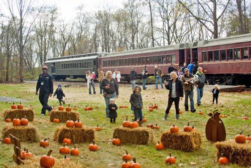 A group of people and children enjoy a pumpkin patch near vintage train cars in a wooded area.