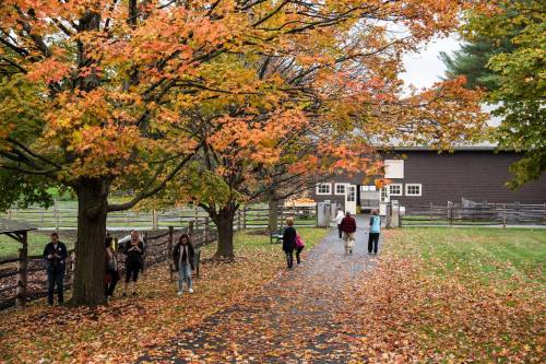 A scenic path lined with colorful autumn trees, with people walking and a barn in the background.