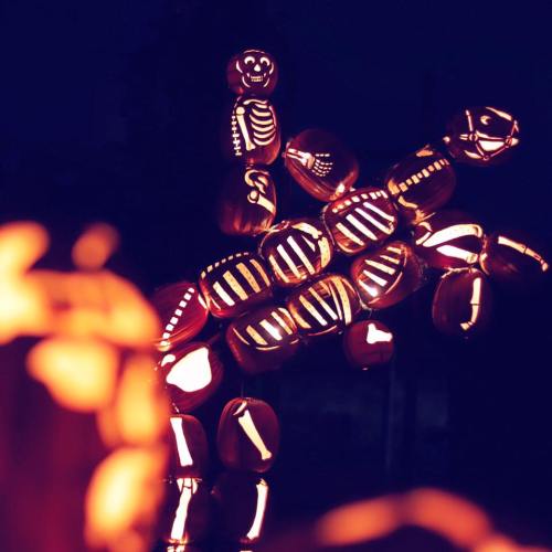 A creative display of carved pumpkins with glowing skeleton designs, set against a dark background.