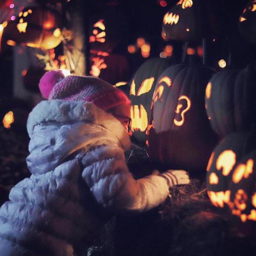 A child in a cozy jacket examines glowing jack-o'-lanterns in a dark, festive setting.