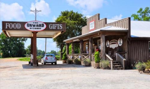 A rustic store with a sign reading "Onward Store," featuring food and gifts, surrounded by greenery and a clear blue sky.