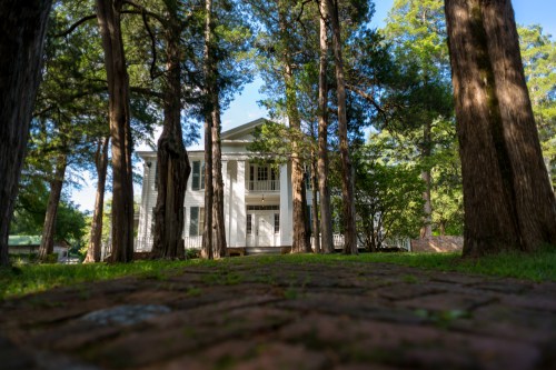 A white house surrounded by tall trees, viewed from a brick pathway leading to the entrance.