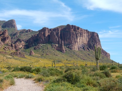 A desert landscape featuring a rocky mountain, green vegetation, and a tall cactus under a blue sky.