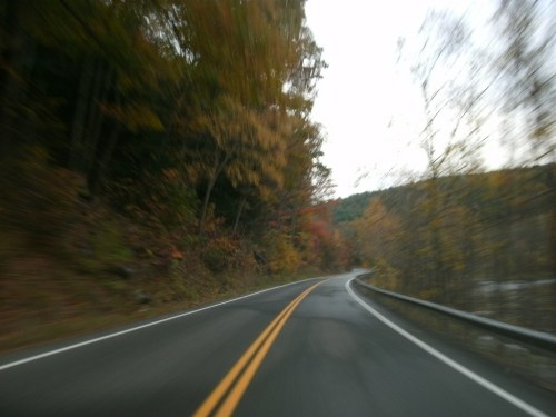 A winding road surrounded by autumn trees, with blurred motion suggesting speed.