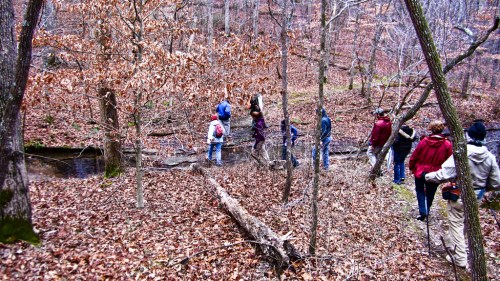 A group of people walking along a wooded area with fallen leaves and a small stream in the background.
