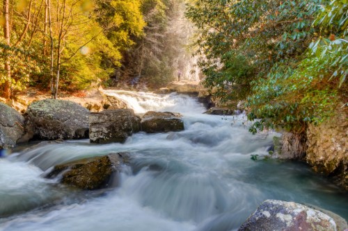 A serene river flows over rocks, surrounded by lush greenery and trees, creating a peaceful natural scene.