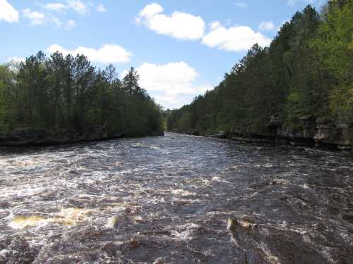 A winding river flows through a lush green forest under a partly cloudy sky.