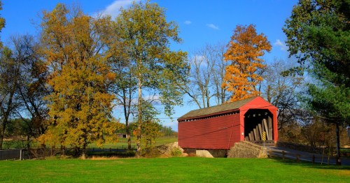 A red covered bridge surrounded by colorful autumn trees and a clear blue sky. Green grass in the foreground.