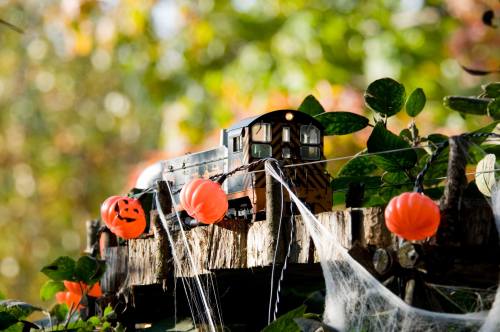 A miniature train on a wooden track, decorated with Halloween pumpkins and spider webs, surrounded by greenery.