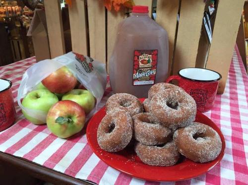 A plate of cinnamon sugar donuts, a bag of apples, and a jug of apple cider on a checkered tablecloth.
