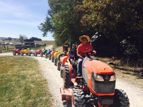 A person in a straw hat drives a tractor along a gravel path, with colorful trailers lined up behind.