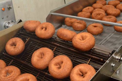 Freshly fried donuts cooling on a conveyor belt in a commercial kitchen.