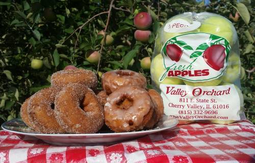 A plate of sugar-coated donuts in front of a bag of fresh apples, set against an apple orchard backdrop.