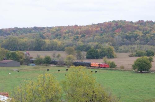 A train travels through a rural landscape with rolling hills, colorful trees, and grazing cows in a green field.