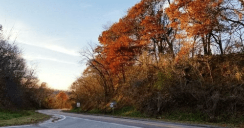 A winding road surrounded by trees with vibrant autumn leaves under a clear sky.