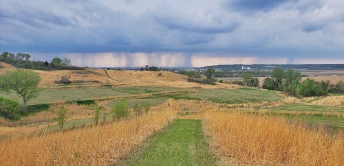 A scenic view of rolling hills with tall grass, under a cloudy sky with distant rain showers on the horizon.