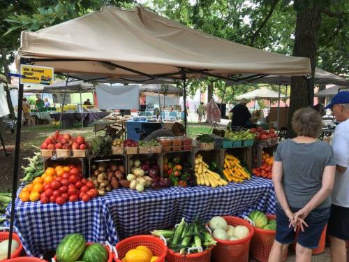 A market stall with a variety of fresh fruits and vegetables under a canopy, with shoppers browsing nearby.