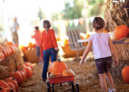 A child pulls a wagon filled with pumpkins through a pumpkin patch, surrounded by hay bales and festive decorations.