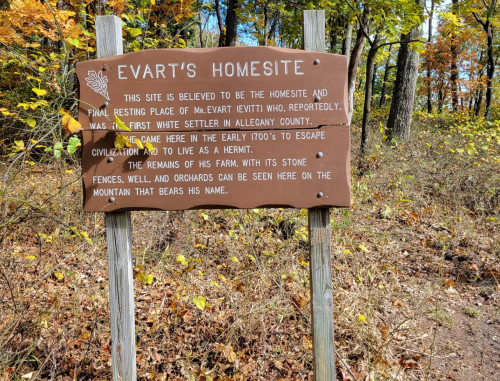 Sign marking Evart's Homesite, noting it as the resting place of early settler Evart Levitt in Allegany County.