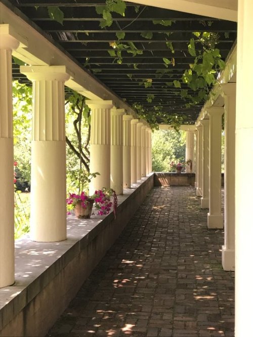 A serene walkway lined with columns and greenery, featuring potted flowers and dappled sunlight.