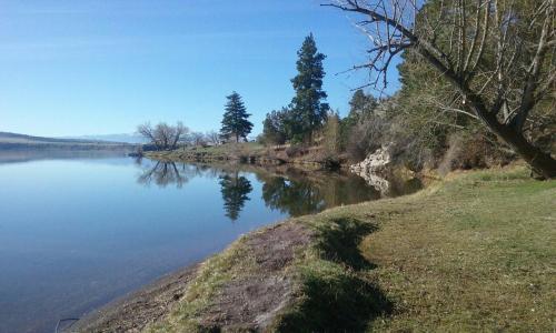 A serene lake scene with trees reflecting on the water, surrounded by grassy banks under a clear blue sky.