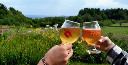 Two hands clink glasses of cider against a scenic backdrop of greenery and distant hills.