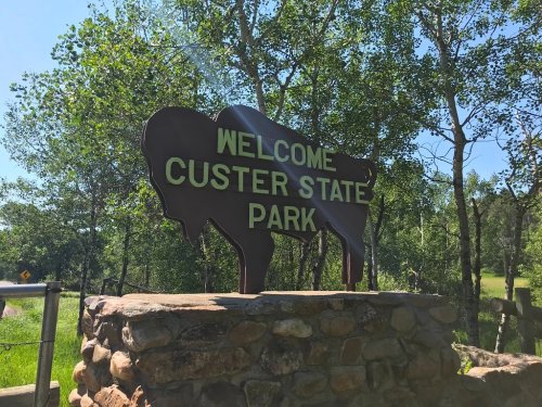 A sign welcoming visitors to Custer State Park, featuring a bison silhouette and surrounded by trees.