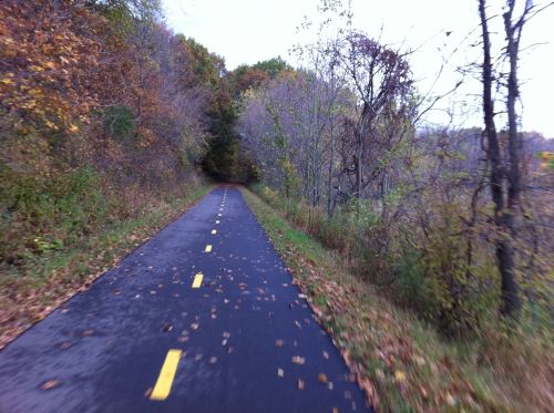 A paved path lined with trees in autumn, featuring fallen leaves and a serene, wooded landscape.