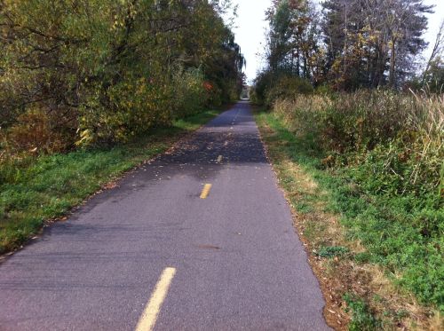 A paved path lined with greenery and trees, leading into the distance on a clear day.