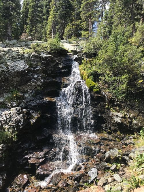 A serene waterfall cascading over rocky terrain, surrounded by lush green trees and foliage.